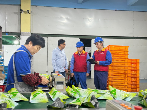 國網寧波供電公司海曙供電分公司:“電管家”上門獻策 助企降本增效