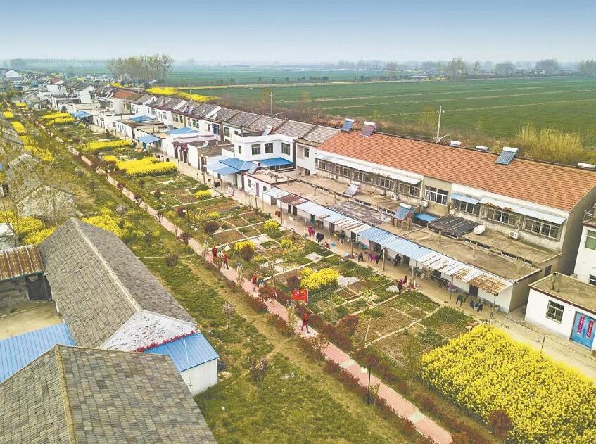 江蘇淮安大鸞共產黨員服務隊:提質鄉村服務 心系萬家光明