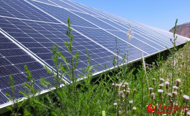 “行進中國”調研行 以“綠”賦能 河北新能源產業“追光逐日”