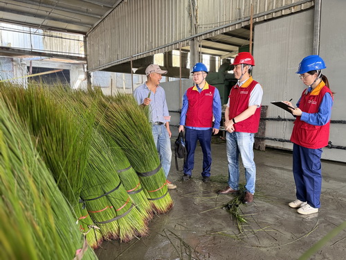 國網寧波供電公司海曙供電分公司:守護綠色“草”經濟 電力服務跑出鄉(xiāng)村振興加速度