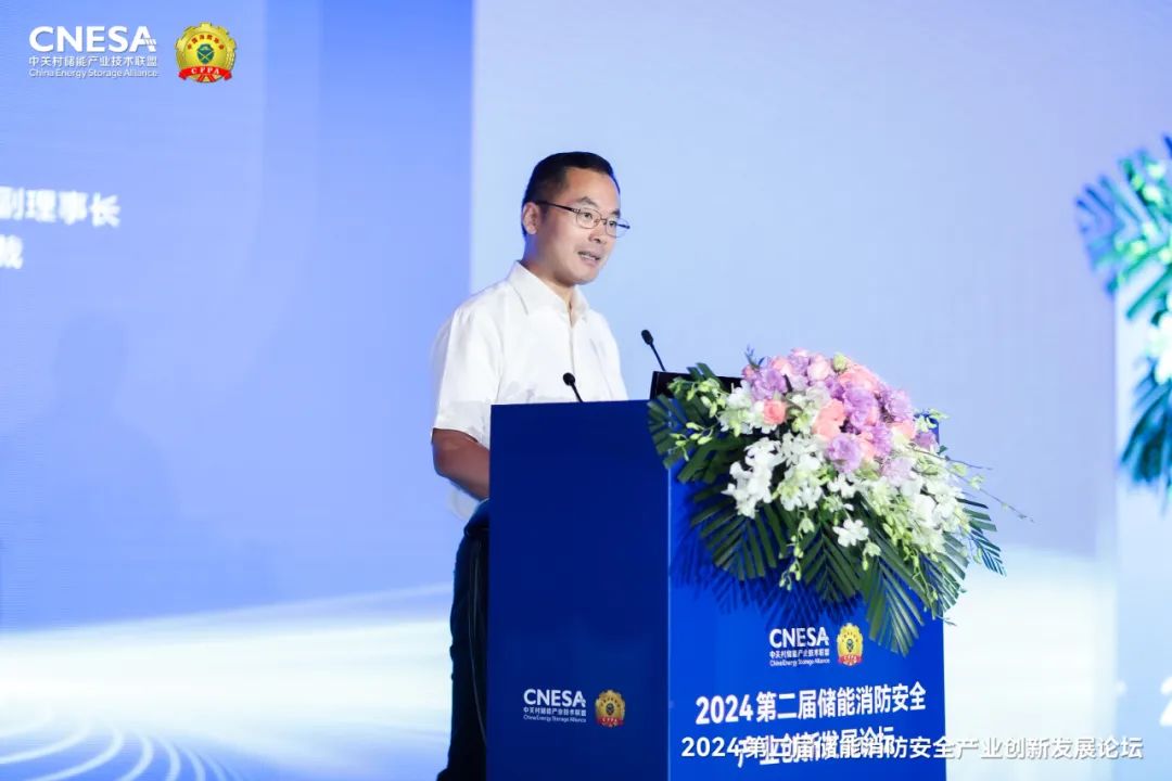 田慶軍:構建新型能源體系需要更高安全儲能