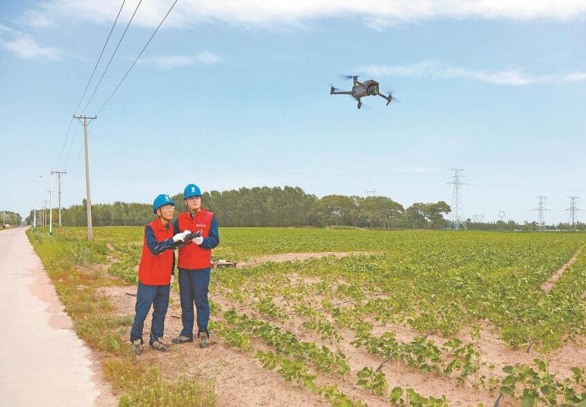 遼寧省彰武縣:可靠電力助推鄉村產業鏈延長