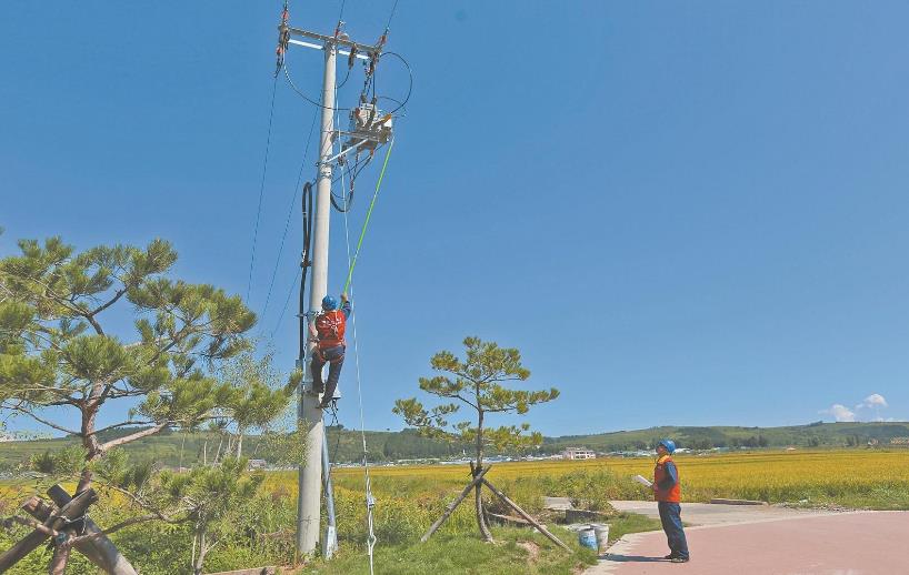 吉林延吉市供電公司幫助鄉村更換水泵房受損線路