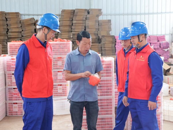 國(guó)網(wǎng)會(huì)理市供電公司:電力先行 守護(hù)石榴豐收