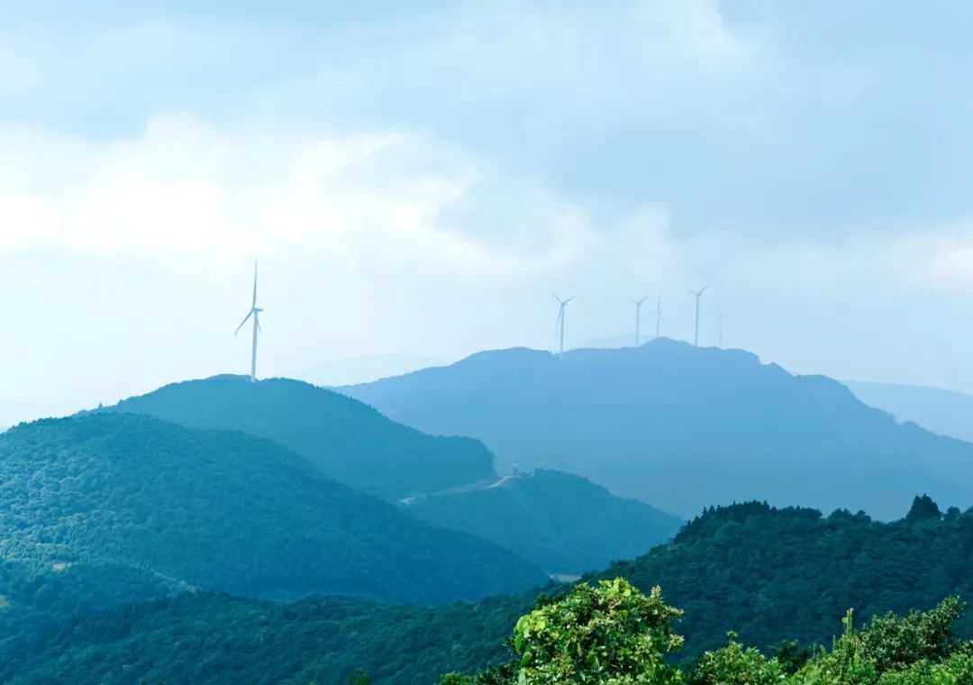 國家能源集團廣西公司黨委書記、董事長李富軍赴天堂頂風電場調研