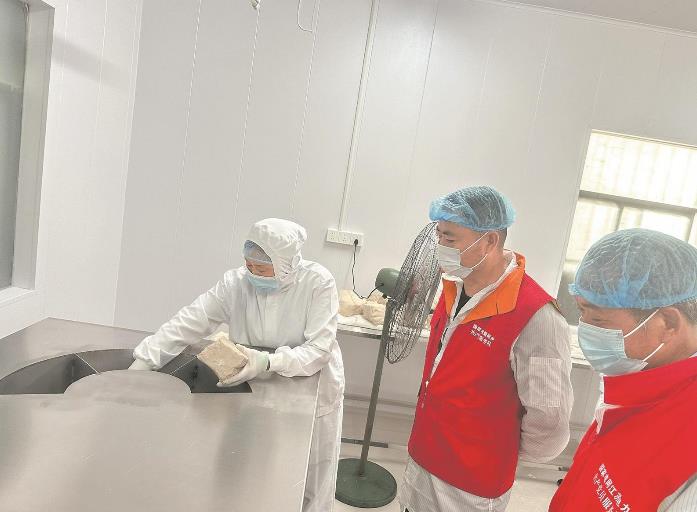 江蘇寶應:電力充足 荷藕增產