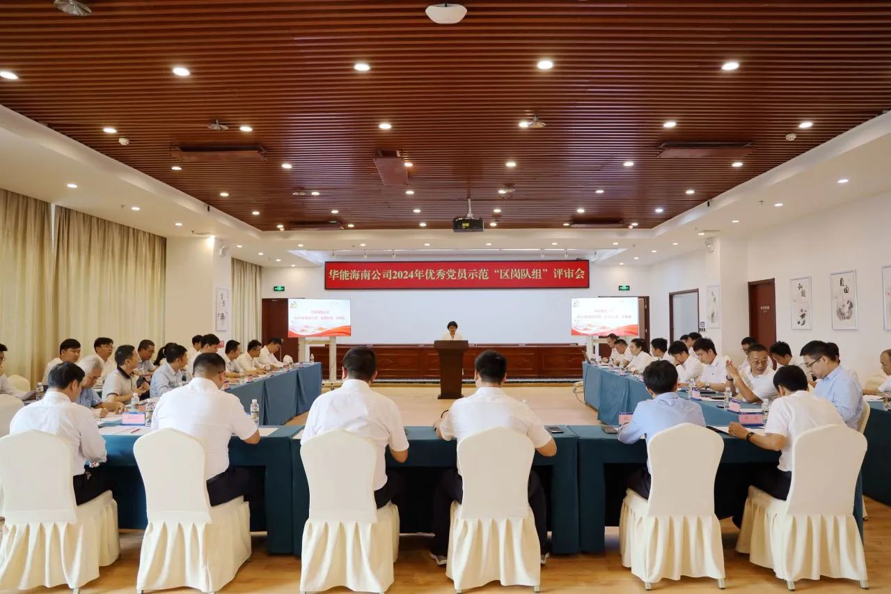 華能海南公司召開優秀黨員示范“區崗隊組”現場評審會
