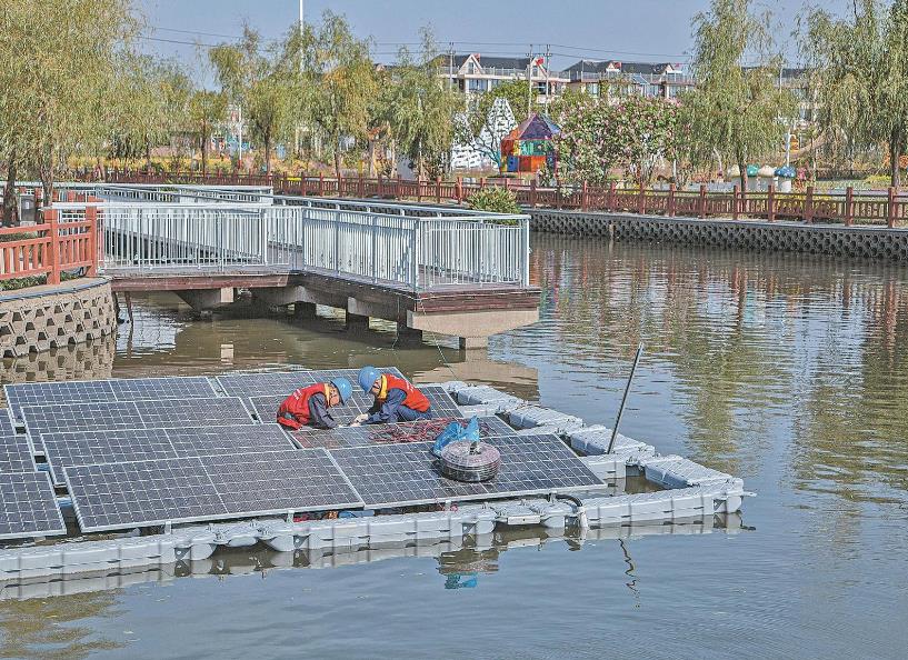 浙江海寧市袁花鎮：小菌菇撐起綠色發展致富路