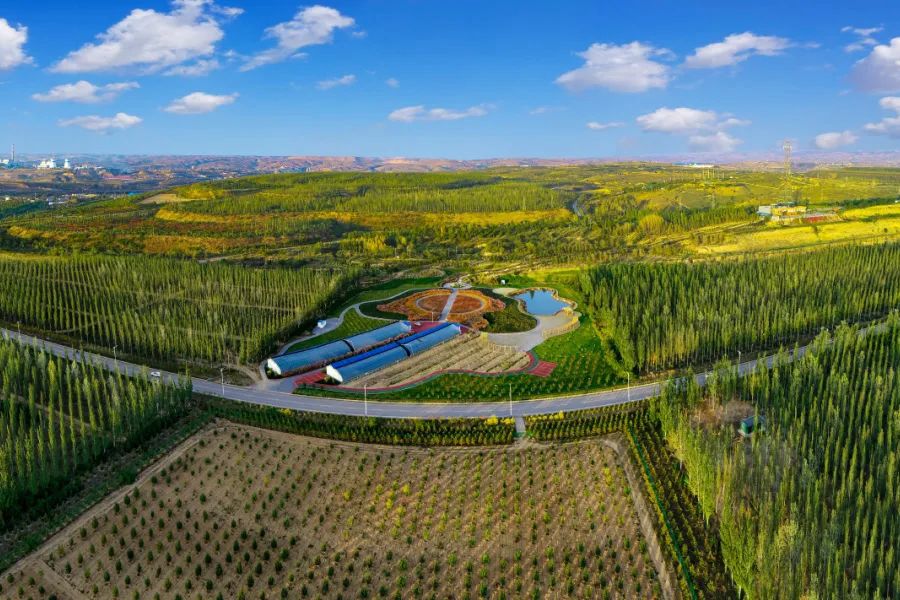 準能案例入選首批生產礦山生態修復典型案例