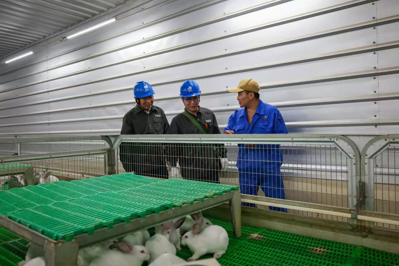 國網濟源供電公司精心服務助力農村產業發展