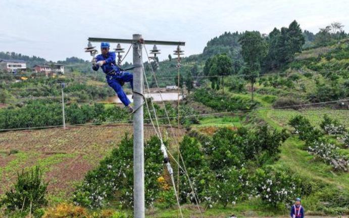 四川眉山升級改造電網助力柑橘產業結“致富果”