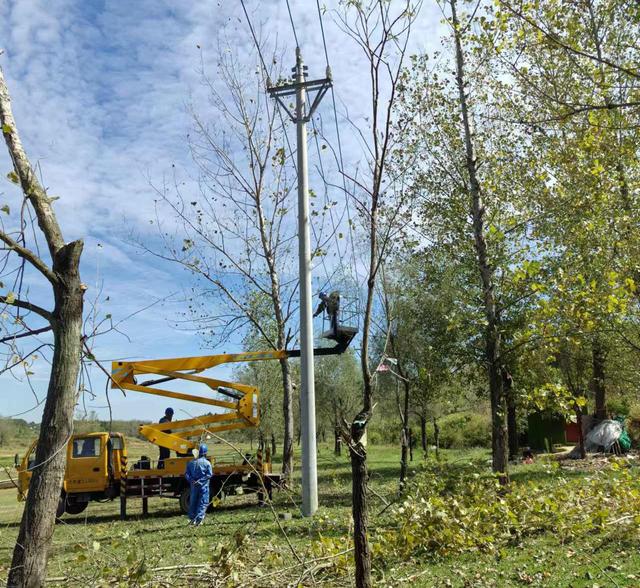 清鎮供電局清理樹障 為電網設備迎峰度冬保駕護航
