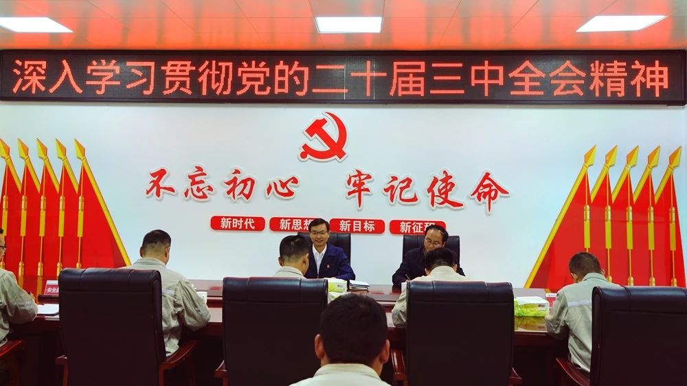 深入學習貫徹黨的二十屆三中全會精神? 大唐四川公司領導班子成員赴黨建聯系點講授專題黨課