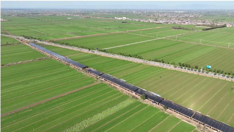 蒲城排堿渠改造提升綜合利用5萬千瓦光伏項目并網發電