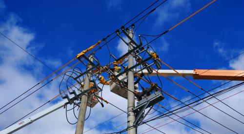 國網壽寧縣供電公司嚴把歲末年初“安全關”