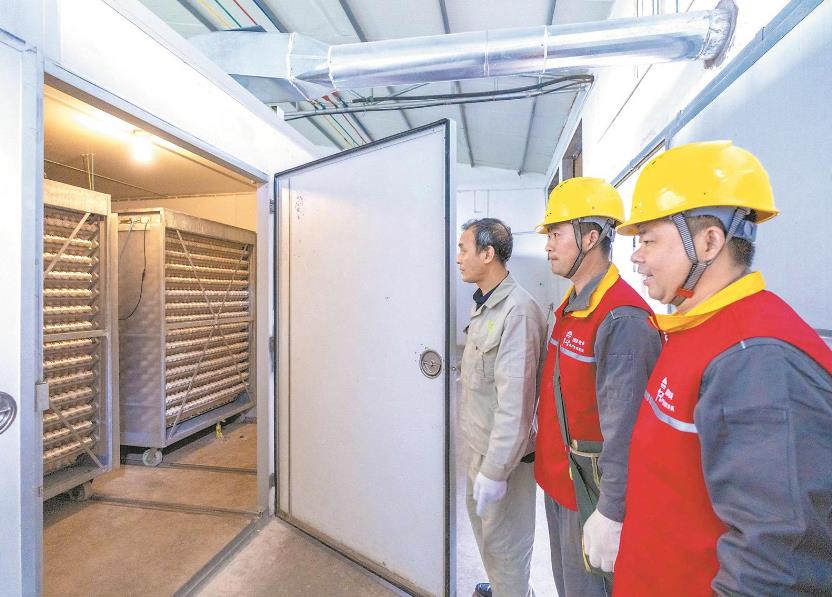 重慶長(zhǎng)壽:禽產(chǎn)業(yè)電氣化孵化養(yǎng)殖