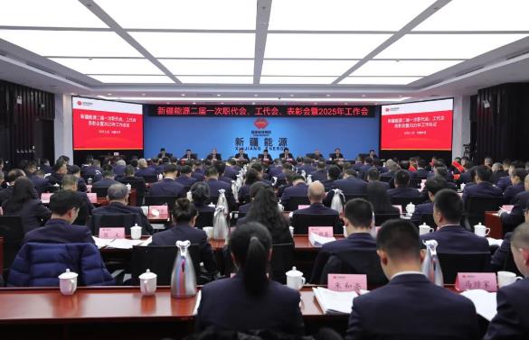 國能新疆能源召開二屆一次職代會、工代會、表彰會暨2025年工作會