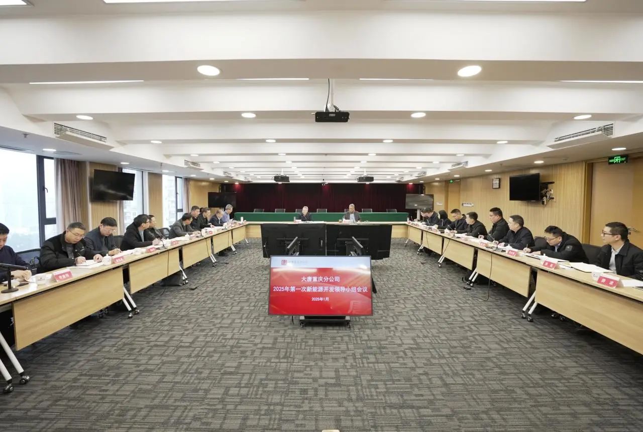 大唐重慶分公司召開2025年第一次新能源開發領導小組會議