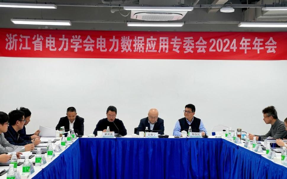 浙江省電力學會電力數據應用專委會召開2024年年會暨學術交流會