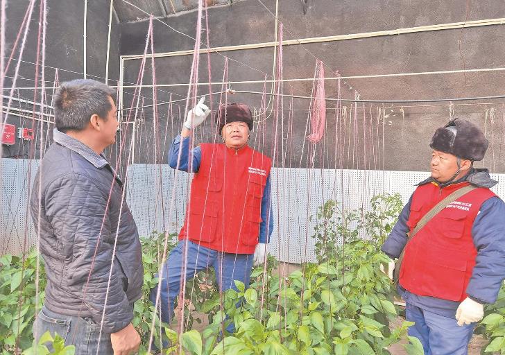 青海循化撒拉族自治縣大棚變智能，果蔬產量增