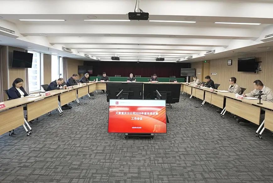 大唐重慶分公司召開2025年投資發展工作會議