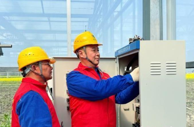 四川眉山:“竹里稻香”春耕忙 電力護航好春光