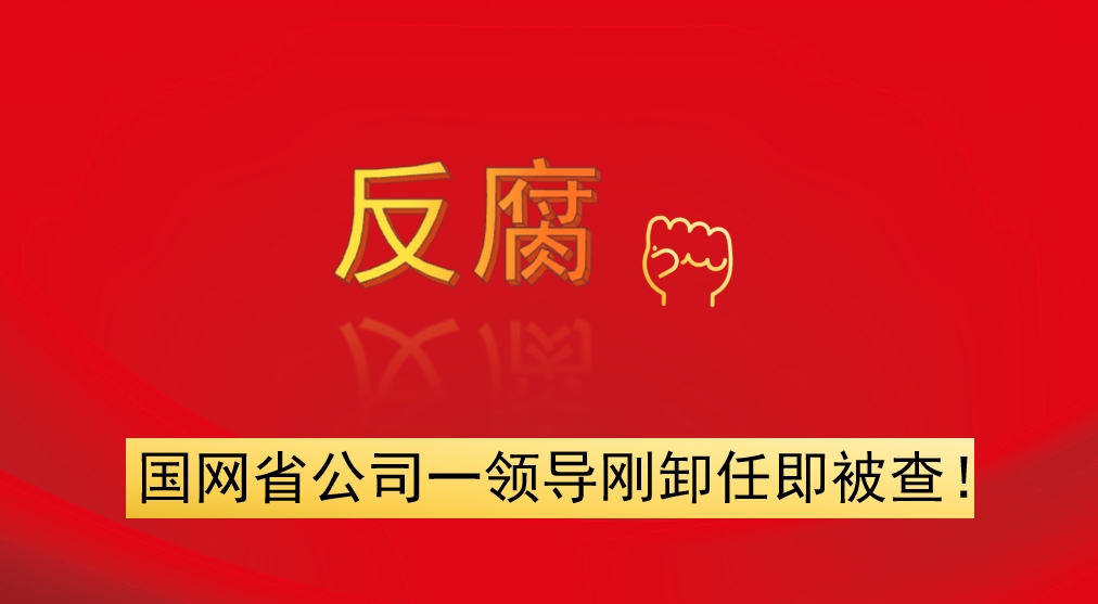 國網省公司一領導剛卸任即被查！