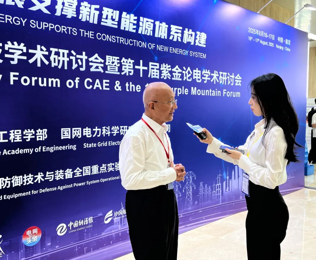 薛禹勝：新型電力系統規劃運行需多目標協同優化